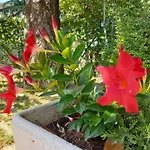 Appartamento Le Magnolie 2