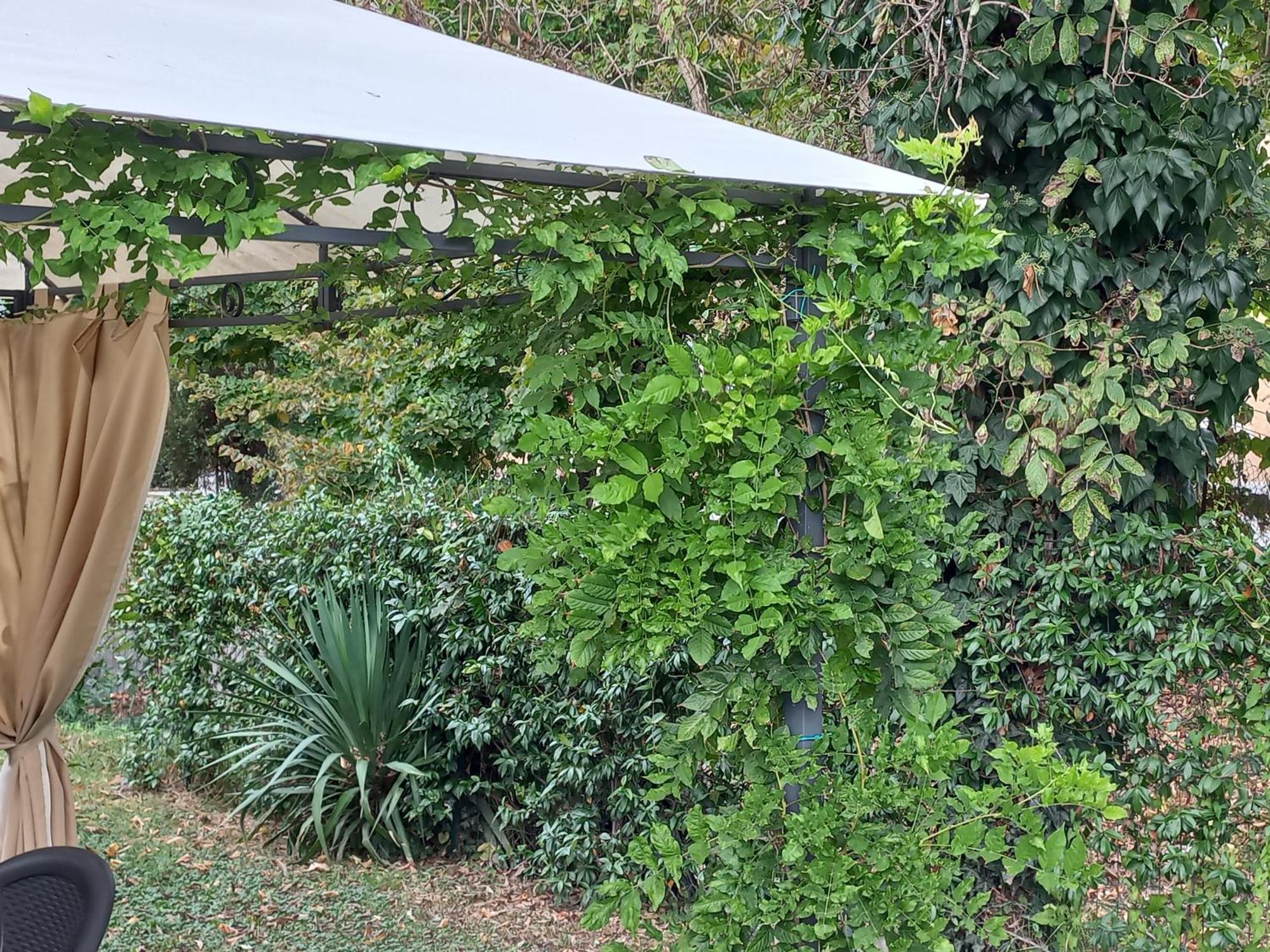 Apartment Le Magnolie 2 Mestre